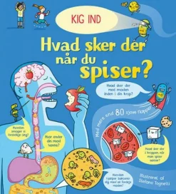 Hvad sker der, når du spiser?